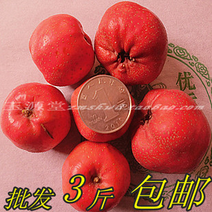  山东山楂新鲜水果/红果/棉球/五棱/甜红子/冰糖葫芦/批发/3斤包邮