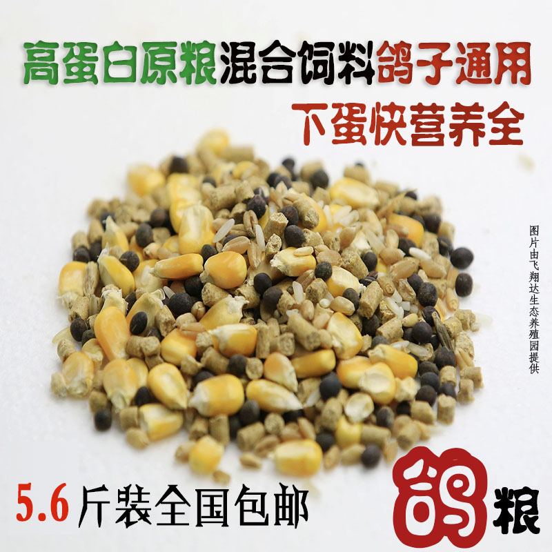 5.6斤装A级鸽粮玉米幼鸽饲料鸟食信鸽观赏鸽肉鸽粮保健砂幼鸽料在类目 宠物/宠物食品及用品, 鸟类及用品, 鸟食中 - 来自Buy2taobao.com提供专业的淘宝代购服务