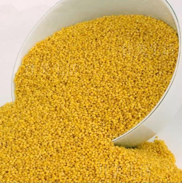 Shaanxi Mizhi millet Sweet Valley Millet gruel Porridge Northern Shaanxi millet The month Xiaohuang Glutinous rice 5in the Agri rice/Dried foods/Condiment , Meter/Flour/Grains , Rice , Millet category - from Buy2taobao.com to provide professional Taobao agent buy service