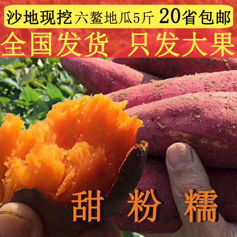 六鳌沙地红薯新鲜红心地瓜5斤包邮福建现挖农家烤番薯甜蜜薯在类目 水产肉类/新鲜蔬果/熟食, 新鲜蔬菜/蔬菜制品, 新鲜蔬菜, 番薯中 - 来自Buy2taobao.com提供专业的淘宝代购服务