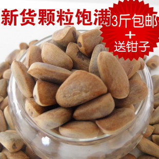  东北野生松子 手选颗粒饱满 新货红松子 未加工不开口 生松子250g