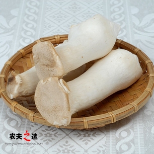  【农夫之选】 绿色食品新鲜蔬菜 食用菌 杏鲍菇 300G 全国配送