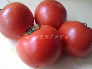  绿色蔬菜 新鲜蔬菜 西红柿/番茄 同城当天买菜配送到家