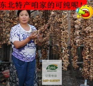  东北野生榛蘑菇 榛蘑特级 小鸡炖榛蘑菇 东北特产干货 无根包邮