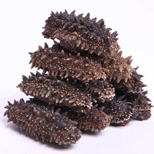  纯真淡干海参干货 野生辽刺参海生礼盒 小有长岛海参烟台批发50g