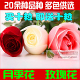 期已更新 - 植发手术_江西植发医院_<em>南昌</em>毛发移