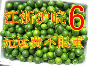 現貨 新鮮海南青金桔(冰桔茶) 越南小青桔 小青檸檬 酸柑在類目 水產肉類/新鮮蔬果/熟食, 新鮮水果, 其它中 - 來自Buy2taobao.com提供專業的淘寶代購服務