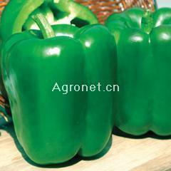 spring and autumn Vegetable seed Colorful Pepper Lantern Pepper Big sweet pepper seeds Pepper seed greenhouse Four seasonsin the Flower delivery/Flowers simulation/Plants gardening , Flowers/Fruits and vegetables/Lawn seed (New) , Home & Garden Seeds category - from Buy2taobao.com to provide professional Taobao agent buy service