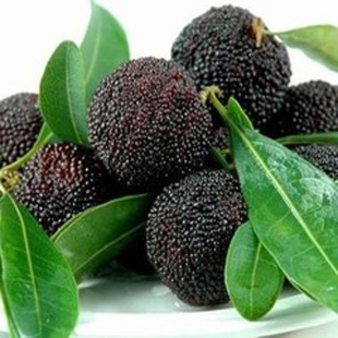  预售秒杀菠萝蜜新鲜水果顶级仙居荸荠杨梅浙江土特产现摘蜂蜜鸡蛋