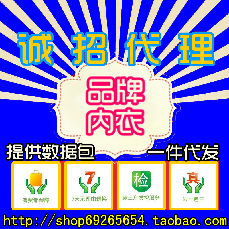 品牌内衣<em>代理 时尚女装</em>网店分销代销 服装代购