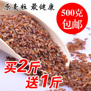  黑苦荞茶 四川西昌凉山苦荞麦茶 全胚芽苦荞香茶苦乔茶养生茶包邮