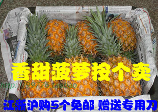  海南三亚 新鲜水果 海南菠萝个大汁多特甜按个卖 江浙沪皖5个包邮
