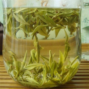  安吉白茶新茶 特级明前茶 白茶黄浦江源茶50g 包邮 绿茶