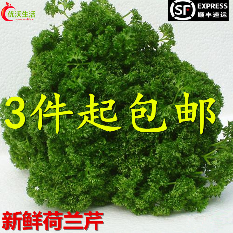 新鲜蔬菜法国香菜反西 蕃茜 法香荷兰芹250g 旱芹菜摆盘3件起包邮在类目 水产肉类/新鲜蔬果/熟食, 新鲜蔬菜/蔬菜制品, 新鲜蔬菜, 其它中 - 来自Buy2taobao.com提供专业的淘宝代购服务