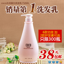 包邮正品 coco洗发水润蛋白滋养控油防脱去屑染烫受损洗发露