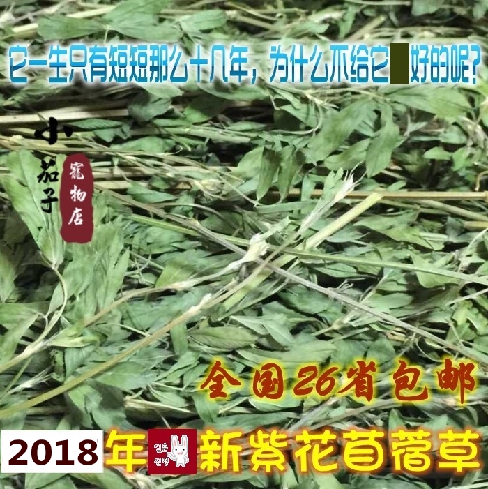 全国包邮 2018年紫花苜蓿草干草 兔子龙猫荷兰猪粮草 毛重1kg/箱|ruв категории животное/Животное питание и принадлежностей, зайцеобразные и принадлежностей, сено - от Buy2taobao.com для оказания профессиональной услуги покупки агента Taobao