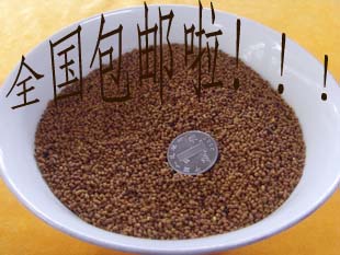 南京侯氏鸟食绣眼鸟食-30元500克绣眼鸟唱鸟专用颗粒料绣眼饲料在类目 宠物/宠物食品及用品, 鸟类及用品, 鸟食中 - 来自Buy2taobao.com提供专业的淘宝代购服务