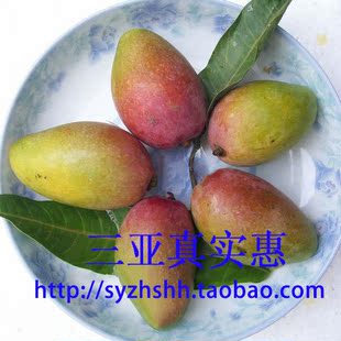  海南三亚 热带水果 新鲜小贵妃芒果 产地直销 香甜特级 10斤包邮