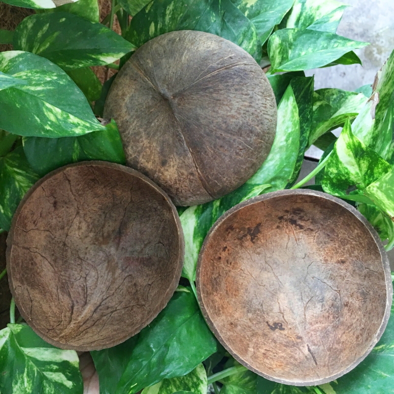 natural Coconut shell Coir lid Coir Coarse Coirin the Home accessories , Creative Jewelry , Coconut shell category - from Buy2taobao.com to provide professional Taobao agent buy service