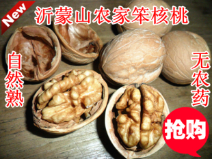 13年沂蒙山核桃核桃笨食品新鲜袋装新货手剥核桃农家oem图片