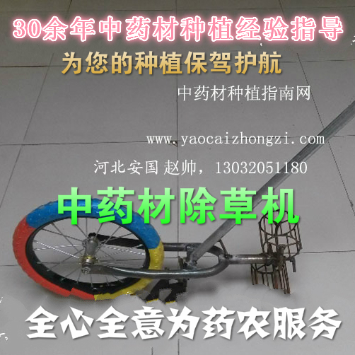 中药材农用除草机,简单农业用具,可开沟松土除草在类目 农机/农具/农膜, 农业工具, 其它农用工具中 - 来自Buy2taobao.com提供专业的淘宝代购服务