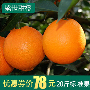 【VIP特惠】江西特产赣南特产赣南脐橙20斤信丰脐橙20斤新鲜水果