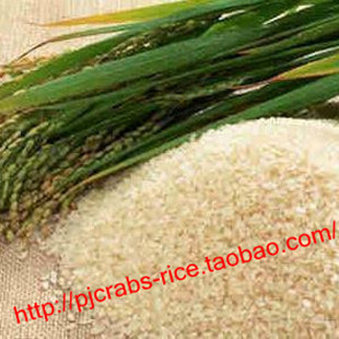  盘锦大米蟹田大米新米/质超五常大米稻花香满10kg包邮