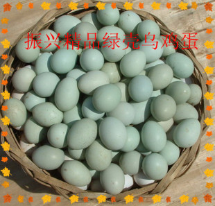  农家杂粮新鲜绿壳鸡蛋 乌鸡蛋空运隔天到(空运特价1.3元）