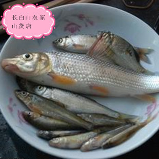 鸭绿江纯野生鱼鲫花鱼重唇鱼虫虫本地特产三花五罗鱼天然绿色安全-淘宝网