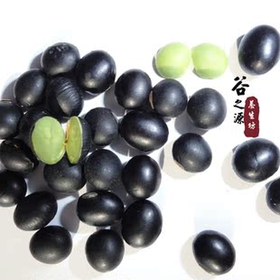  黑豆 黑大豆 绿仁绿芯绿心黑豆 非转基因 五谷杂粮 400g真空包装