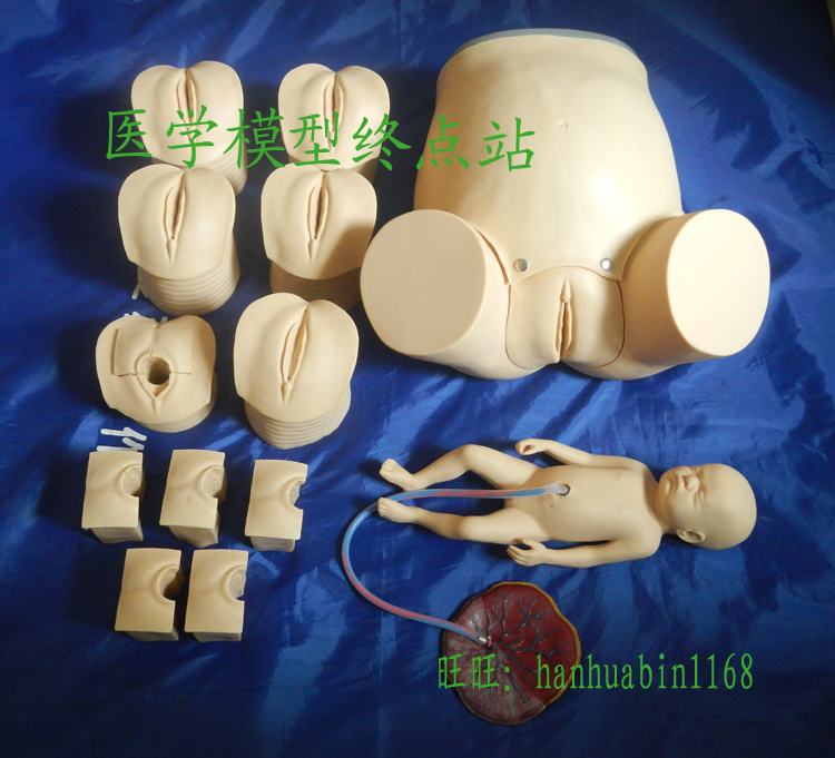 高级分娩综合技能训练模型,妇科分娩技能示教模型,宫颈检查模型|msdalam kategori Toy/bayi/teka-teki/blok bangunan/model, Pleasure/Equipment pengajaran/kemudahan yang besar, Deria peralatan latihan integrasi/Equipment pengajaran - dari Buy2taobao.com untuk memberikan perkhidmatan ejen Taobao profesional membeli