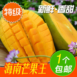  海南三亚青芒 新鲜水果大青皮芒果王金煌芒果王 1个全国包邮 试吃