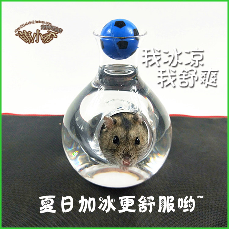 小仓鼠夏天降温冰酒壶冰酒器降温用品冰屋冰窝冰床冰袋消暑玻璃房|msdalam kategori haiwan peliharaan/makanan haiwan dan bekalan, hamsters kelas haiwan peliharaan dan lain-lain kecil, bekalan haiwan kesayangan kecil (baru), Haba plat dissipation - dari Buy2taobao.com untuk memberikan perkhidmatan ejen Taobao profesional membeli