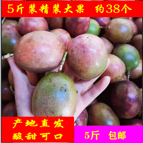 Fresh fruit Guangxi Passion fruit Passionflower selected Large fruit 5 poundsin the Aquatic meat/Fresh fruits and vegetables/Cooked , Fresh fruit , Passion Fruit category - from Buy2taobao.com to provide professional Taobao agent buy service