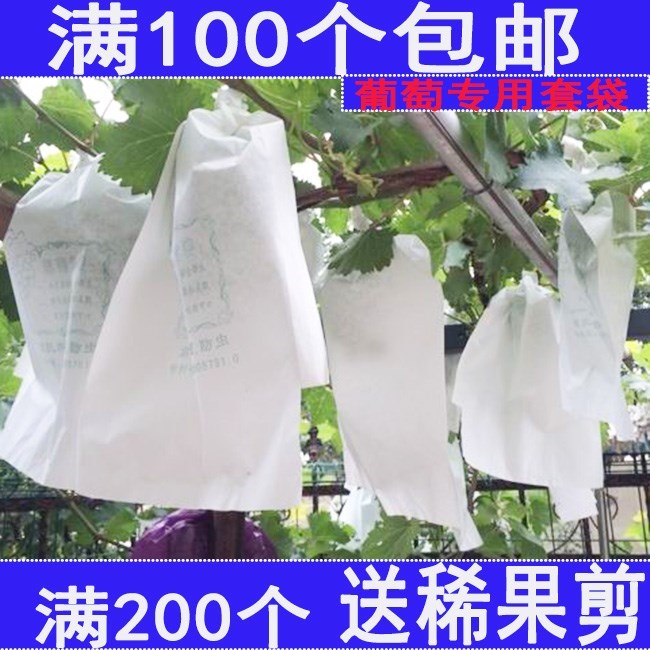 葡萄袋子纸袋防虫鸟袋套代露天葡萄杨桃套袋专用果袋包葡萄的套袋在类目 鲜花速递/花卉仿真/绿植园艺, 园艺用品, 其它园艺用品中 - 来自Buy2taobao.com提供专业的淘宝代购服务