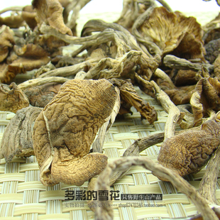  【专卖野货】东北野生榛蘑 大兴安岭土特产 菌类干货特价包邮