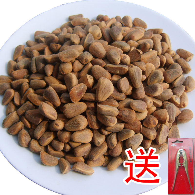 东北野生生松子/松籽 红松种子 大粒不开口 可做鼠粮 特价2斤包邮
