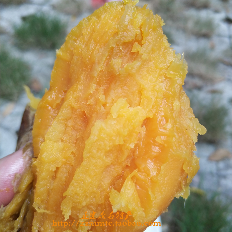 Gaozhou sweet potato Sweet potato Sweet potato Sweet potato Sweet potato Sweet potatoes Roasted sweet potato 5 poundsin the Aquatic meat/Fresh fruits and vegetables/Cooked , Fresh vegetables/Vegetable products , Fresh vegetables , Sweet potato category - from Buy2taobao.com to provide professional Taobao agent buy service