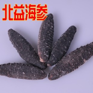  北益 北欧海参 进口野生淡干海参 无糖 刺参辽参北极参批发