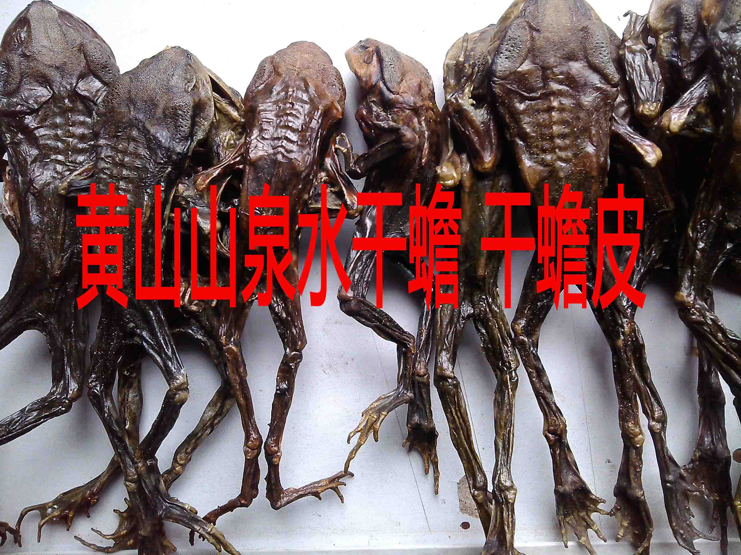 干蟾蜍干蟾蜍衣蟾蜍皮粉胶囊蟾蜍干蟾皮癞蛤蟆癞蛤蟆皮蟾衣干蟾皮在类目 传统滋补营养品, 药食同源食品, 其他药食同源食品中 - 来自Buy2taobao.com提供专业的淘宝代购服务
