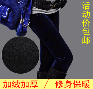  新款加绒加厚裤子显瘦铅笔裤长裤正品金丝绒打底裤加大码包邮