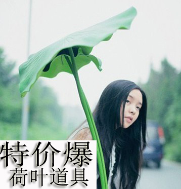 节日表演道具仿真假荷叶荷花水池装修舞蹈表演摄影道具塑料假睡莲在类目 家居饰品, 花瓶/花器/仿真花/仿真饰品, DIY仿真材料中 - 来自Buy2taobao.com提供专业的淘宝代购服务