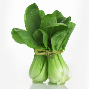  嘉仕有机青菜001上海青油菜绿色叶富维生素C 崇明有机蔬菜配送