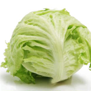  嘉仕有机生菜 结球生菜 清甜爽口 上海同城当天新鲜配送 350克
