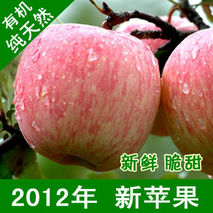  特价优惠【10件起拍】新鲜有机红富士苹果  水果果农直销批发 80#