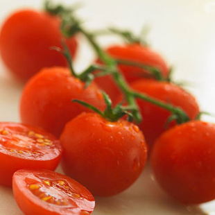  新鲜采摘 甜美爱情果 小番茄 圣女果  品质保证