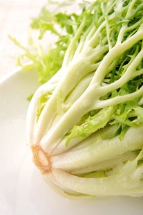  蔬菜沙拉Salad沙拉酱生菜新鲜色拉 苦叶细叶苦菊 英国金赛尔生菜