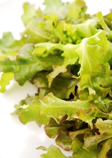  蔬菜沙拉Salad沙拉酱生菜新鲜色拉 美式橡叶红生菜 布露克农场