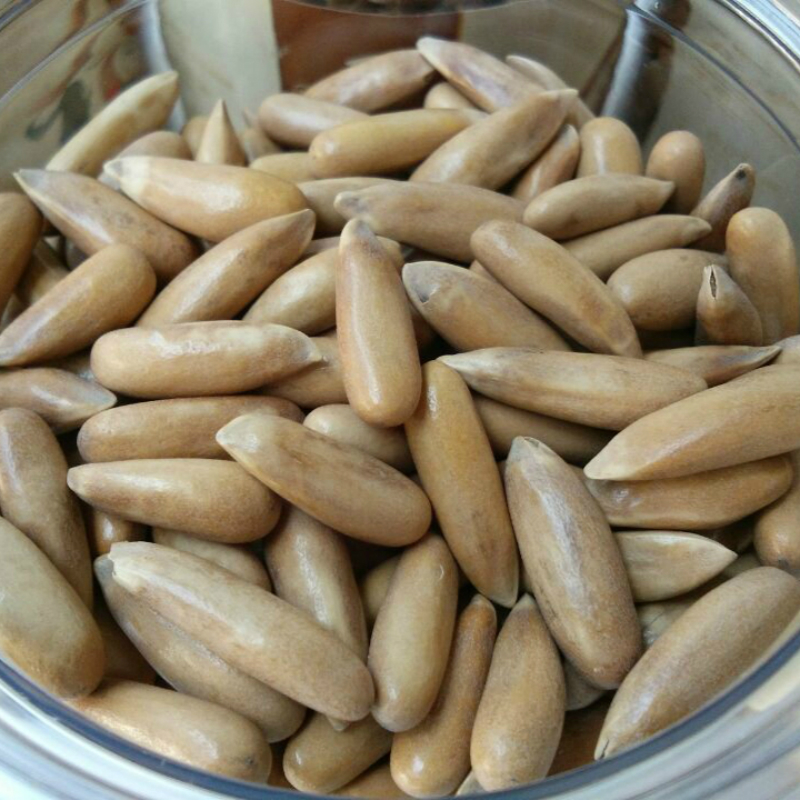 2019年新大籽手剥松子薄壳巴西松子原味坚果零食一罐连罐250g包邮|ruв категории закуски/орехи/специальность, ореховый/орехи/жареные семечки, кедровые орехи - от Buy2taobao.com для оказания профессиональной услуги покупки агента Taobao