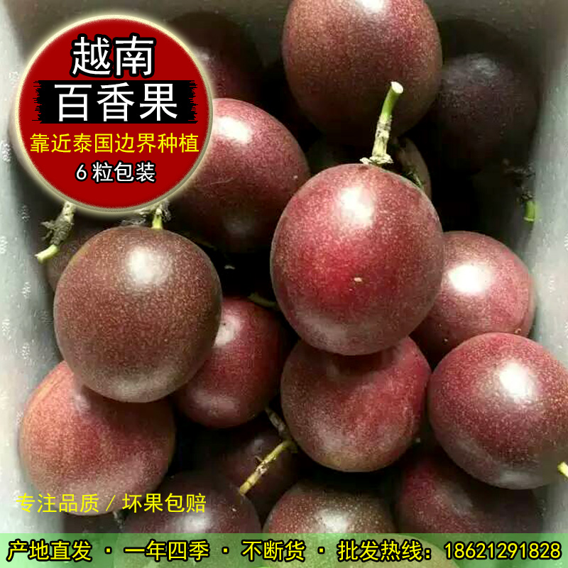 现货 今天刚到 新鲜百香果新鲜水果 一级百香果 12个/ 2盒 包邮在类目 水产肉类/新鲜蔬果/熟食, 新鲜水果, 百香果中 - 来自Buy2taobao.com提供专业的淘宝代购服务